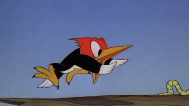 Donald Duck - Фотокамера Дональда смотреть онлайн