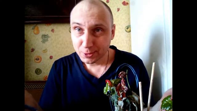 "Яркописец" шарж - Михаил Гвоздев смотреть онлайн