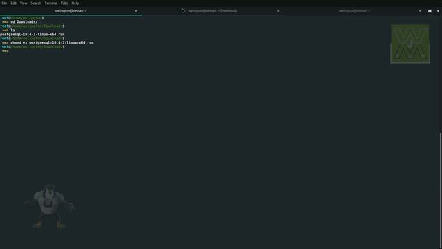 09 - PostgreSQL 10 Instalação смотреть онлайн
