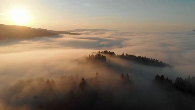 Quick Guided Meditation To Clear The Mind ~ REALLY WORKS!