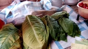 Начало ферментации Табака, Гавана.