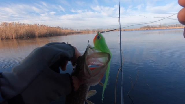 Зимняя ловля ЩУКИ в Краснодарском крае. Снасть и стримеры для щуки. смотреть онлайн