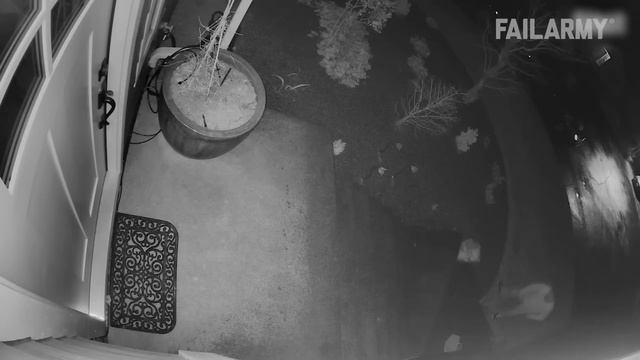 That's Cold! Fails Of The Week