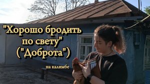 ФУНТИК Доброта (Хорошо бродить по свету) #kalimba #табы #разбор #cover #калимба