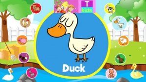 English - Animals - farm