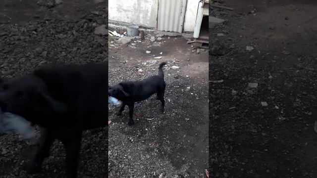 ДАЧА ТОЛЬЯТТИ 77 2018 смотреть онлайн