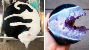 Фото, которые тебя удивят (108 часть)