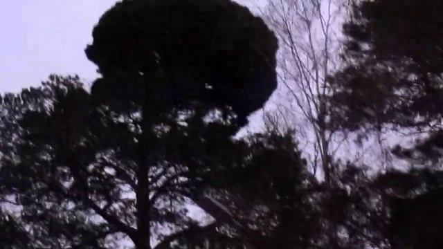 Ведьмино гнёздо в Жуковке смотреть онлайн