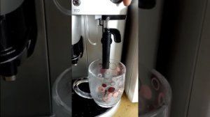 Delonghi Magnifica ESAM4200 Steam problem