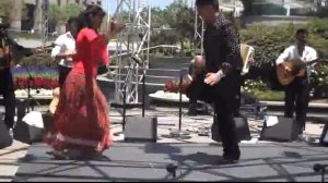 Парно граст  Танец венгерских цыган  xvid