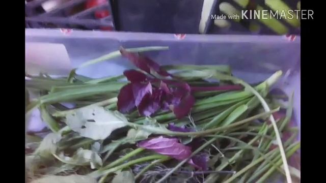 ГРЕЧКА с овощами и моими секретами на завтрак или ужин!