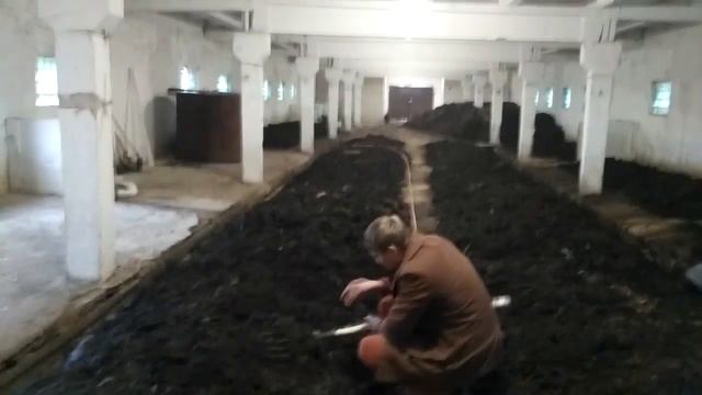 ВЕРМИФЕРМА с. ТРОСТИНКА под КИЕВОМ 2018г. смотреть онлайн