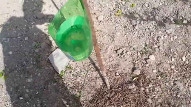 Капельный полив из пластиковой бутылки | Лайфхак | Life hack.. Drip irrigation from a plastic bottl смотреть онлайн