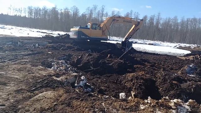 торфокарьер, выемка и удаление верхового торфа(вскрыша).Цель-низинный торф. смотреть онлайн