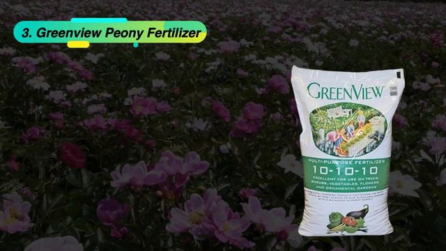 Best Fertilizer For Peonies | Top Reviews From Experts смотреть онлайн