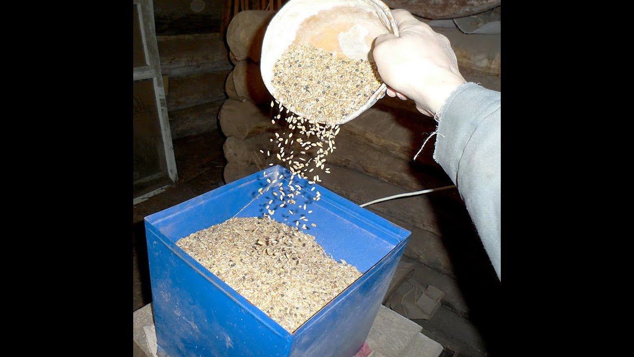 Помол пшеницы с помощью зернодробилки на фураж смотреть онлайн