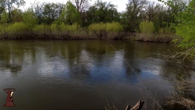 Рыбалка в Мае на реке Сок Голавли, Густера, Окуни, Плотва и т д в Самарской области смотреть онлайн