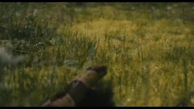 Noah Movie CLIP - Creation Sequence (2014) - Darren Aronofsky Movie HD смотреть онлайн