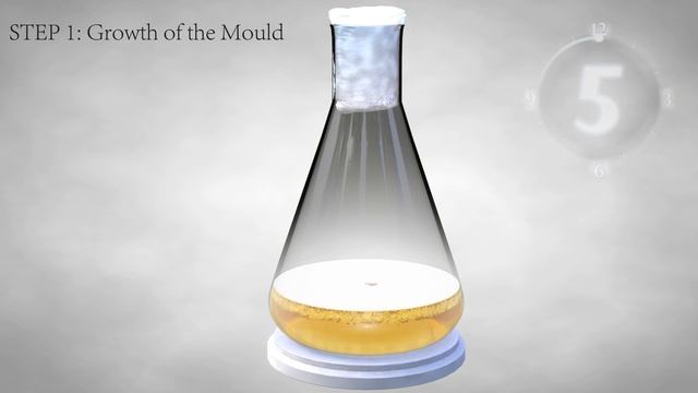 Penicillin production animation смотреть онлайн