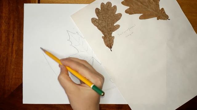 Рисунок акварелью "Осенние листья" смотреть онлайн