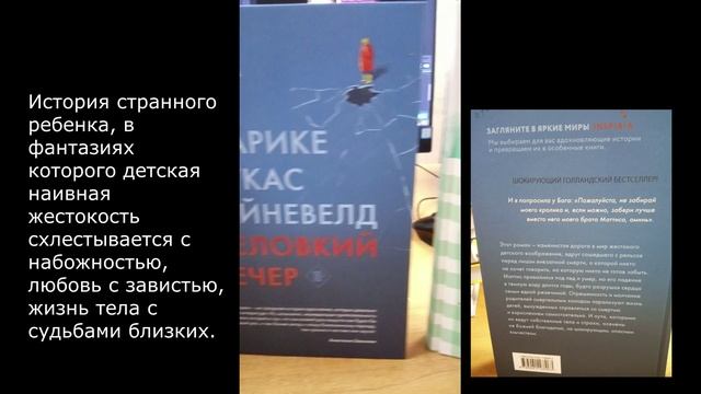 Обзор новых книжных поступлений, выпуск 5 Зарубежный роман.mp4 смотреть онлайн