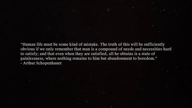 The Darkest Philosopher in History - Arthur Schopenhauer смотреть онлайн