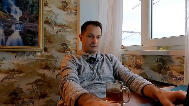 Настройка Рестрима и Телефона, в кач доп камеры смотреть онлайн