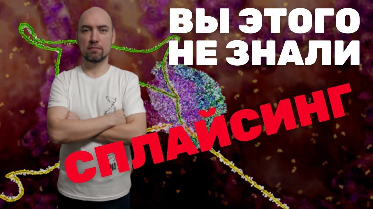 Что такое сплайсинг? Душкин объяснит смотреть онлайн