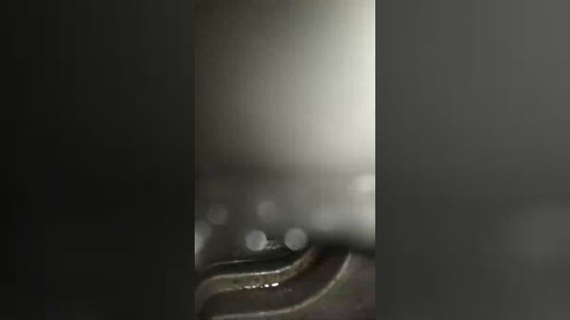 Часть 5 Правильная и эффективная раскоксовка лавром и сольвентом смотреть онлайн