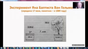 Чем и как питаются растения (в т.ч. об эксперименте Ван Гельмонта)