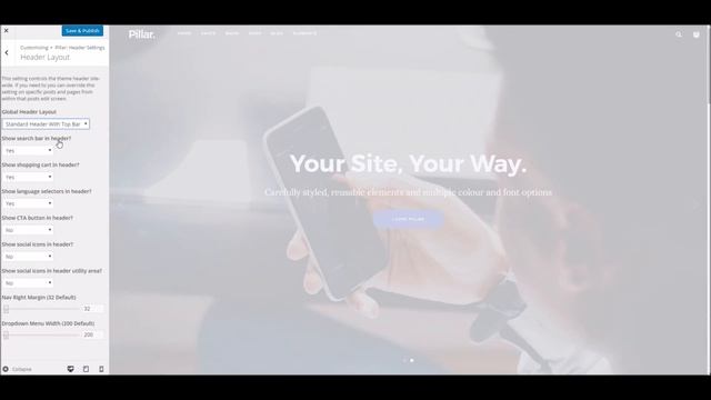 Pillar WordPress Theme - Theme Options Overview смотреть онлайн