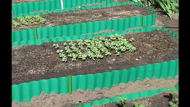 Ограждайте свои грядки и цветники Устраивайте красивые бордюры! смотреть онлайн