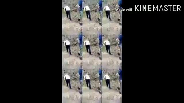 наша база #1