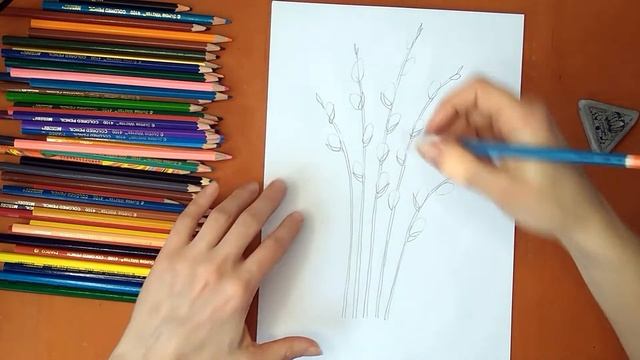 Как нарисовать вербу. Верба, рисунок карандашом смотреть онлайн
