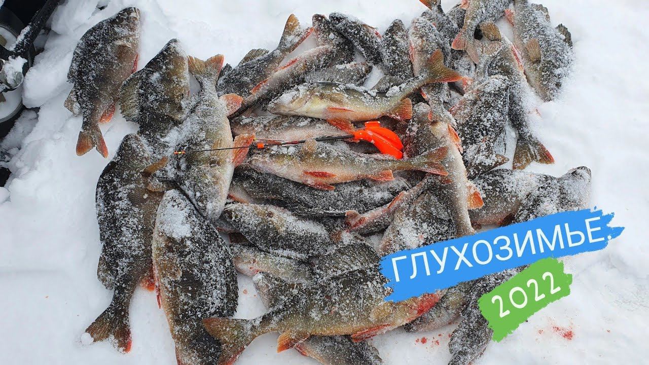 о. Вышка КАБАНЫ снова ЖРУТ эту БЛЕСНУ #зимняярыбалка #щука #окунь #блеснагвоздь #глухозимье #perch смотреть онлайн