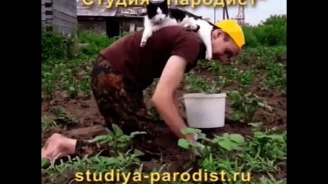 Кот в огороде хозяин (Озвучка) смотреть онлайн
