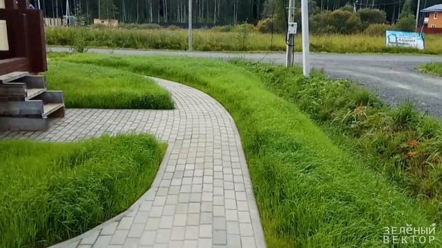 Красота на участке всего за три недели! Парковка и дорожки из брусчатки, прекрасный газон смотреть онлайн