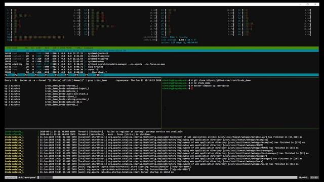 UGM2020 / 31. Lightning Talk - A Demo of irods/irods_demo смотреть онлайн