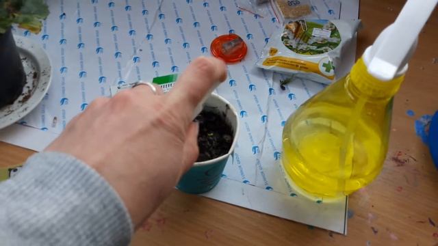 Плесень на рассаде - действуем бысто и незамедлительно!!! смотреть онлайн