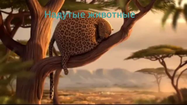 Надутые животные смотреть онлайн
