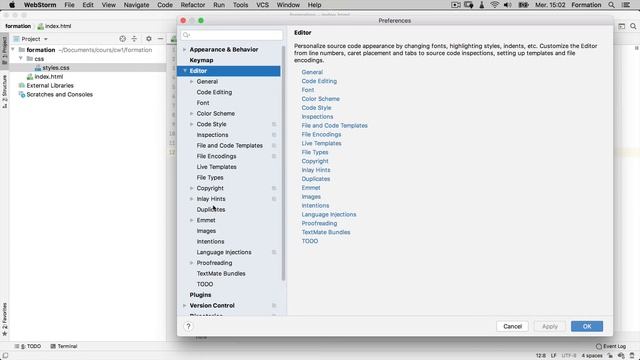 Démonstration de base de WebStorm смотреть онлайн