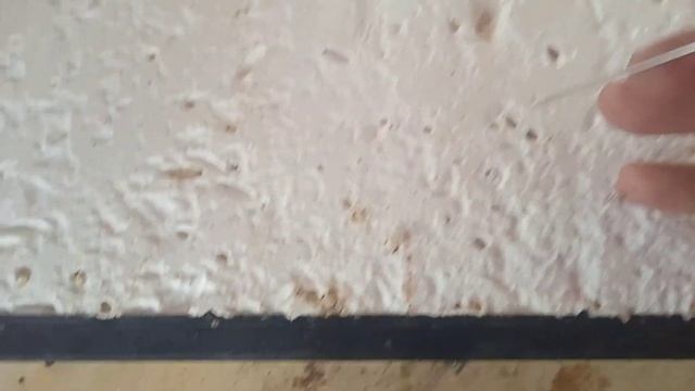 Восковая моль в ульях ППС Лысонь смотреть онлайн