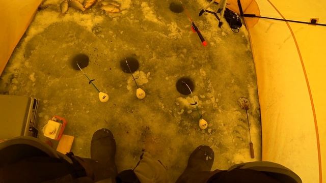 Ловля карася зимой смотреть онлайн