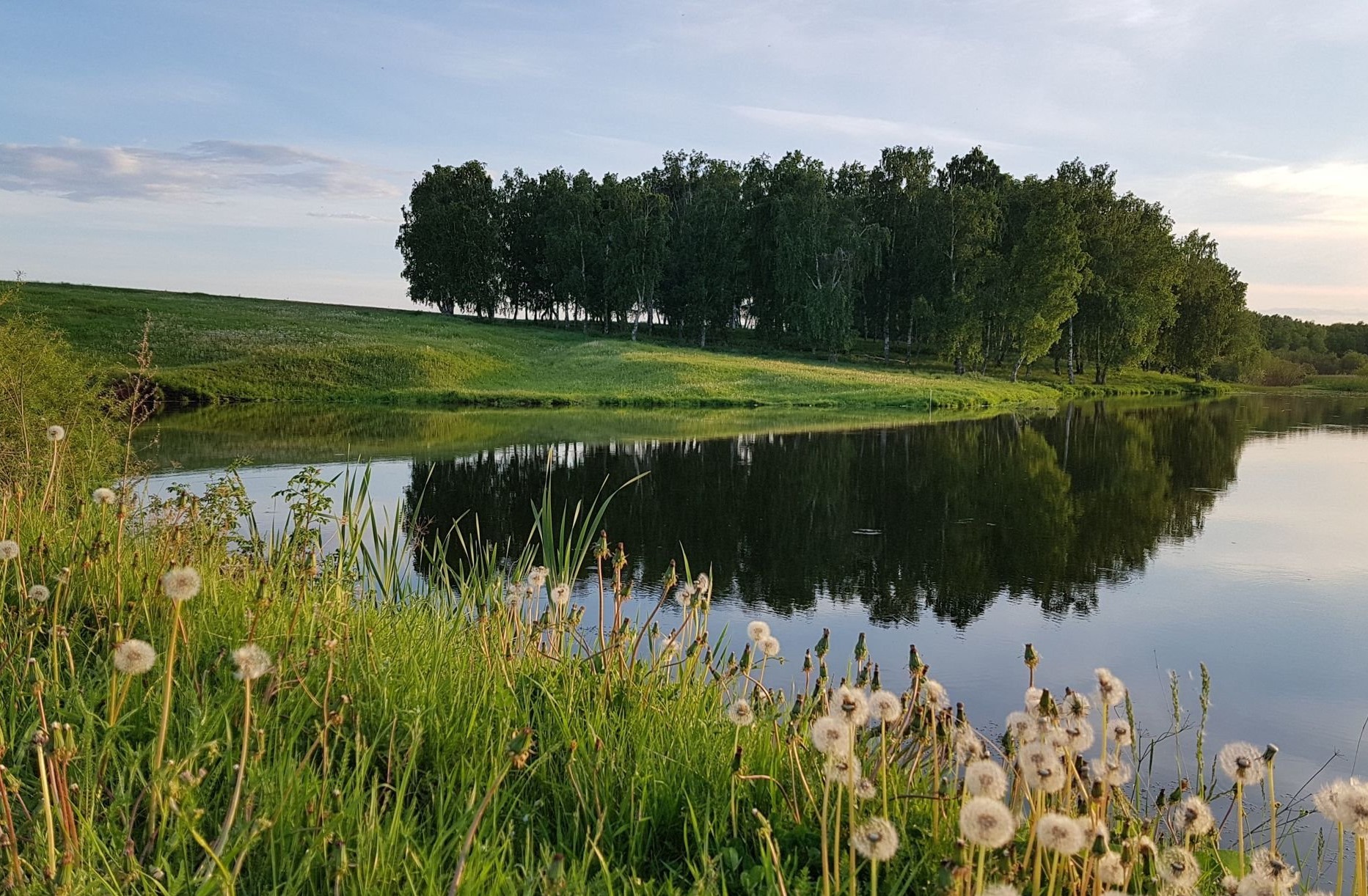 Проститутка смотреть онлайн