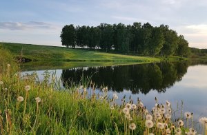 Проститутка