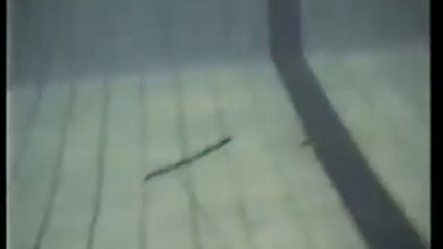 История ружья Таймень - 1999 год смотреть онлайн