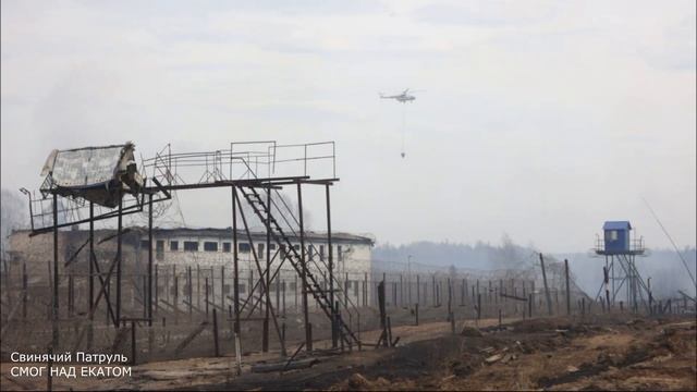 Свинячий патруль - Смог над Екатом смотреть онлайн