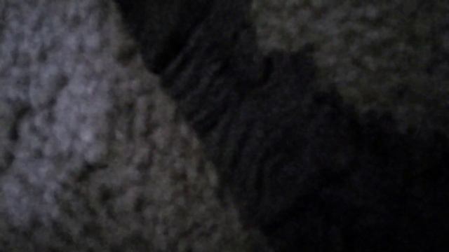Godzilla X Kong: Battling Titans (Season 1) | Official Trailer смотреть онлайн