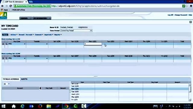 PMG Salaried Login and Time Entry - JAVA смотреть онлайн