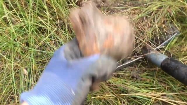 Снова удача!!! И полная загрузка отличным металлом! смотреть онлайн